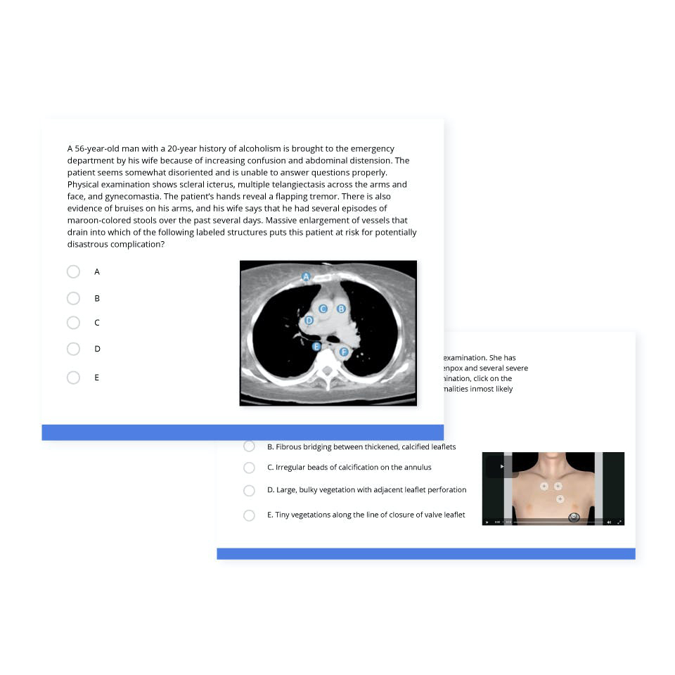 Introduction Image 2